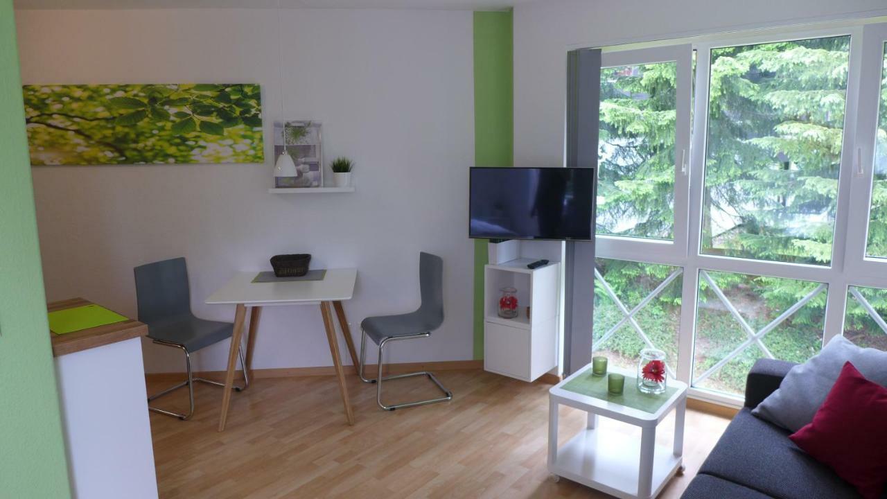 Appartement Schultz - Gruene Aue Braunlage Extérieur photo