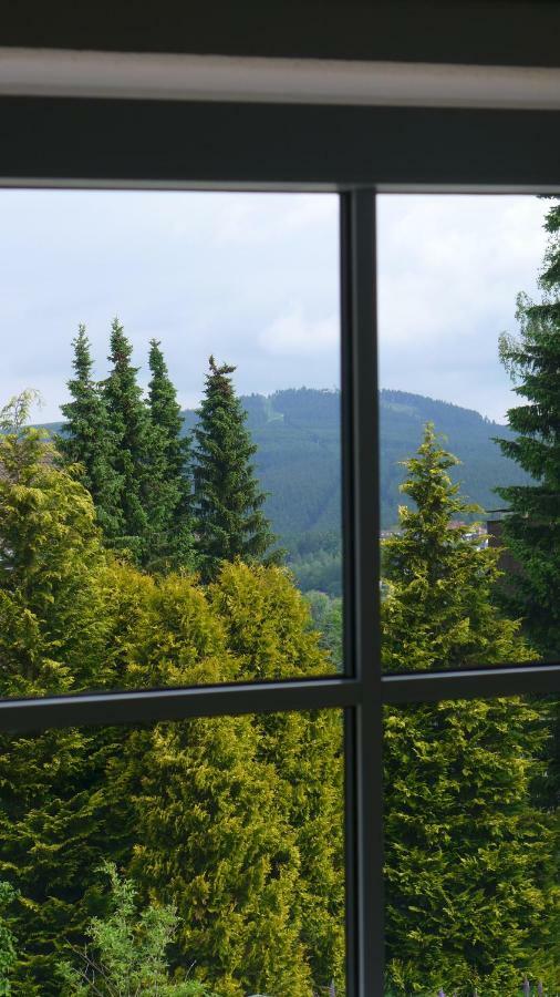Appartement Schultz - Gruene Aue Braunlage Extérieur photo